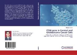 PTEN gene in Cervical and Glioblastoma Cancer Cells