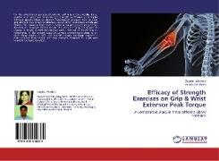 Efficacy of Strength Exercises on Grip & Wrist Extensor Peak Torque