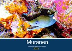 Muränen - Kurzsichtige Jäger im Korallenriff (Wandkalender 2022 DIN A2 quer)