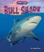 Bull Shark