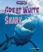 Great White Shark