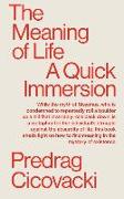 The Meaning of Life: A Quick Immersion