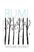 Rumi: A New Collection