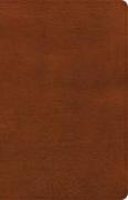 CSB Thinline Bible, Burnt Sienna Leathertouch