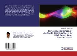 Surface Modification of Austenite Stainless Steels by High Power Laser