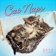 Cat Naps 2022 Mini Calendar