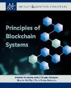 Principles of Blockchain Systems