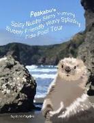 Peakabu's Spiny Nubby Slimy Yummy Bubbly Friendly Wavy Splashy Tide Pool Tour