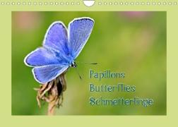 Papillons-Butterflies-Schmetterlinge (Wandkalender 2022 DIN A4 quer)