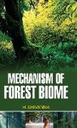 Mechanism of Forest Biome