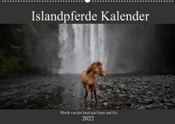 Islandpferde Kalender - Pferde von der Insel aus Feuer und Eis (Wandkalender 2022 DIN A2 quer)