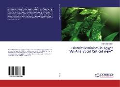 Islamic Feminism in Egypt ¿An Analytical Critical view¿