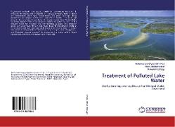 Treatment of Polluted Lake Water