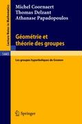 Geometrie et theorie des groupes