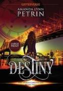 Destiny (Large Print Edition): The Owens Chronicles Book Two