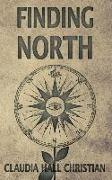 Finding North: an Alex the Fey thriller