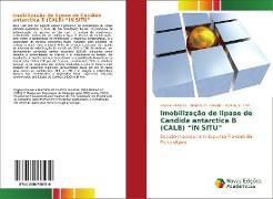 Imobilização de lipase de Candida antarctica B (CALB) ¿IN SITU¿