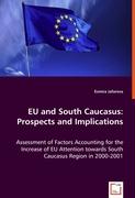 EU and South Caucasus: Prospects and Implications