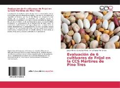 Evaluación de 6 cultivares de Fríjol en la CCS Mártires de Pino Tres