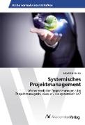 Systemisches Projektmanagement