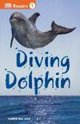 Diving Dolphin