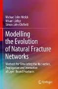 Modelling the Evolution of Natural Fracture Networks