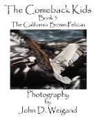 The Comeback Kids, Book 3, the California Brown Pelican