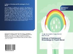 Indexes of Adolescent Knowledge in Youth Novel