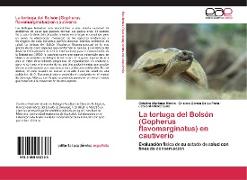 La tortuga del Bolsón (Gopherus flavomarginatus) en cautiverio