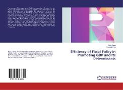Efficiency of Fiscal Policy in Promoting GDP and Its Determinants