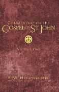 Commentary on the Gospel of St. John, Volume 2