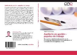 Auditoria de gestión - papeles de trabajo