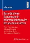 Bose-Einstein-Kondensate in höheren Bändern des hexagonalen Gitters