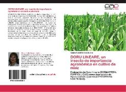 DORU LINEARE, un insecto de importancia agronómica en cultivo de maíz