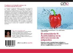 El antioxidante N-Acetilcisteína en la diferenciación de adipocitos