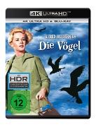 Die Vogel - 4K UHD // Replenishment