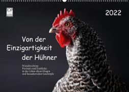 Von der Einzigartigkeit der Hühner 2022 (Wandkalender 2022 DIN A2 quer)