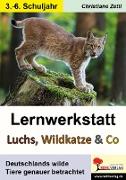 Lernwerkstatt Luchs, Wildkatze & Co