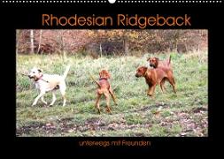 Rhodesian Ridgeback unterwegs mit Freunden (Wandkalender 2022 DIN A2 quer)