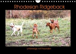 Rhodesian Ridgeback unterwegs mit Freunden (Wandkalender 2022 DIN A4 quer)