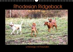 Rhodesian Ridgeback unterwegs mit Freunden (Wandkalender 2022 DIN A3 quer)