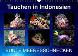Tauchen in Indonesien - BUNTE MEERESSCHNECKEN (Wandkalender 2022 DIN A3 quer)