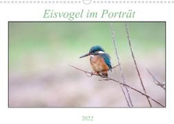 Eisvogel im Porträt (Wandkalender 2022 DIN A3 quer)