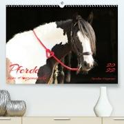 Pferde - eine Herzenssache (Premium, hochwertiger DIN A2 Wandkalender 2022, Kunstdruck in Hochglanz)