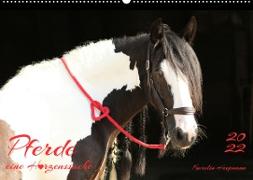 Pferde - eine Herzenssache (Wandkalender 2022 DIN A2 quer)