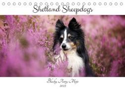 Shetland Sheepdogs Blacky, Anry, Mojo 2022 (Tischkalender 2022 DIN A5 quer)