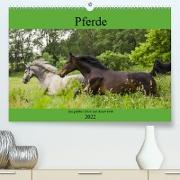 Pferde, das größte Glück auf dieser Erde (Premium, hochwertiger DIN A2 Wandkalender 2022, Kunstdruck in Hochglanz)