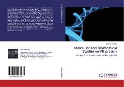 Molecular and Biochemical Studies on PII protein