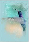 VE Vögel auf Instagram Klappkarte Motiv Blauer Annakolibri 5 Ex