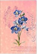 VE Gärten der Künstler Klappkarte Motiv Blaue Orchidee 5 Ex